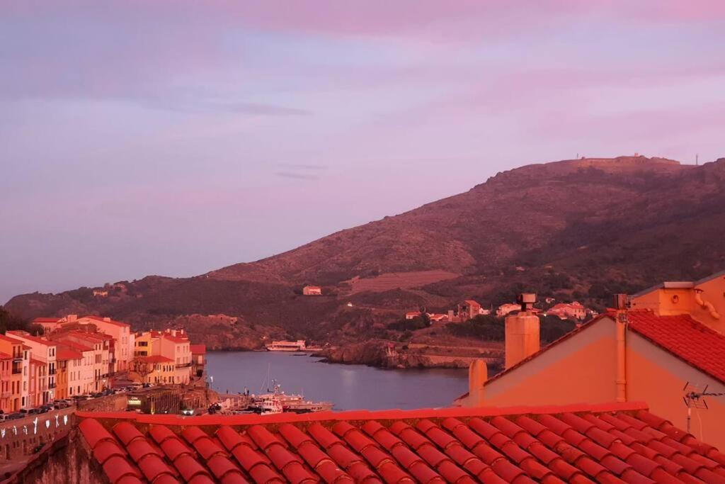 Le Belveze, Emplacement Central Et Calme Port Vendres Exterior foto