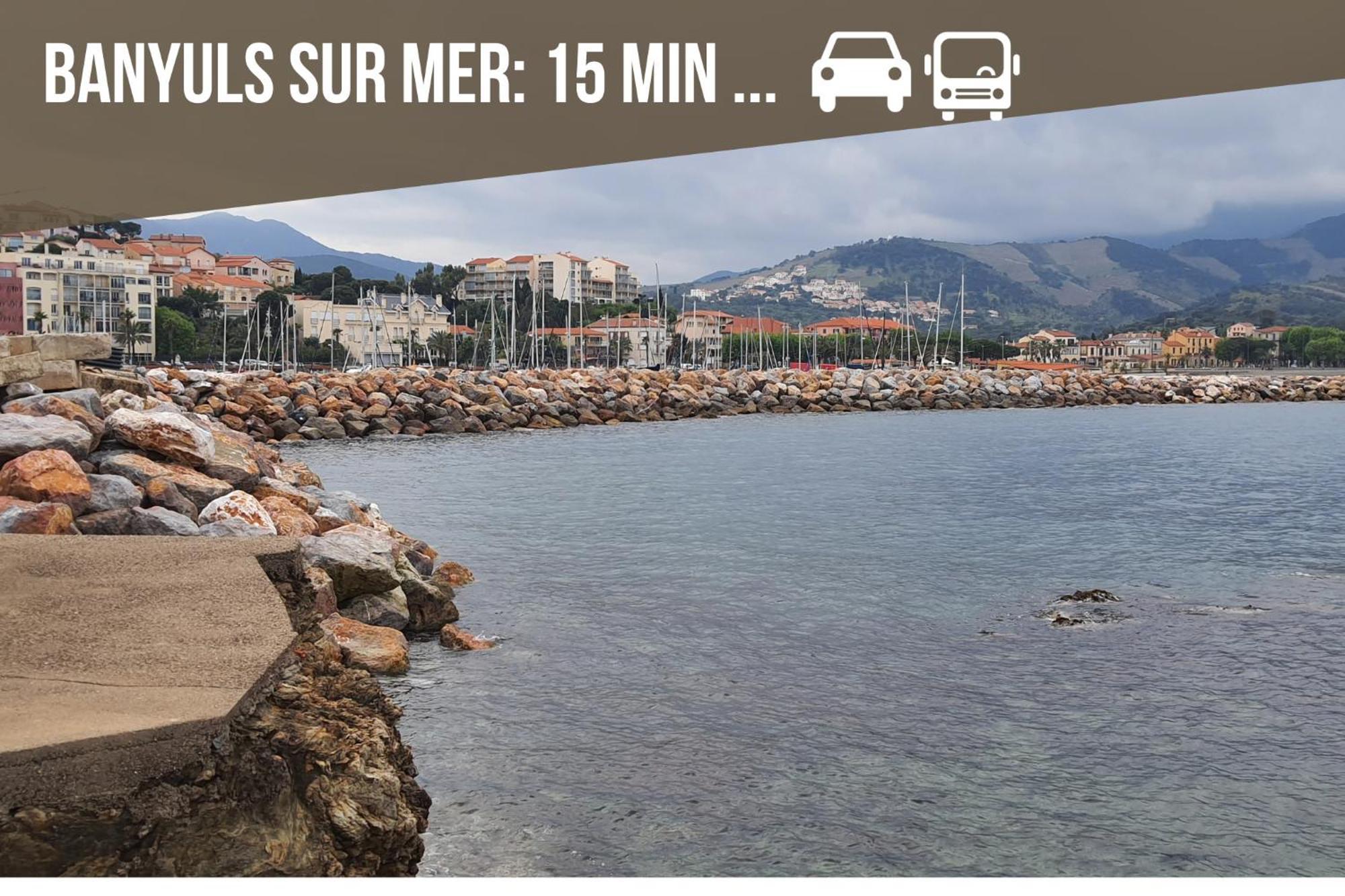 Le Belveze, Emplacement Central Et Calme Port Vendres Exterior foto