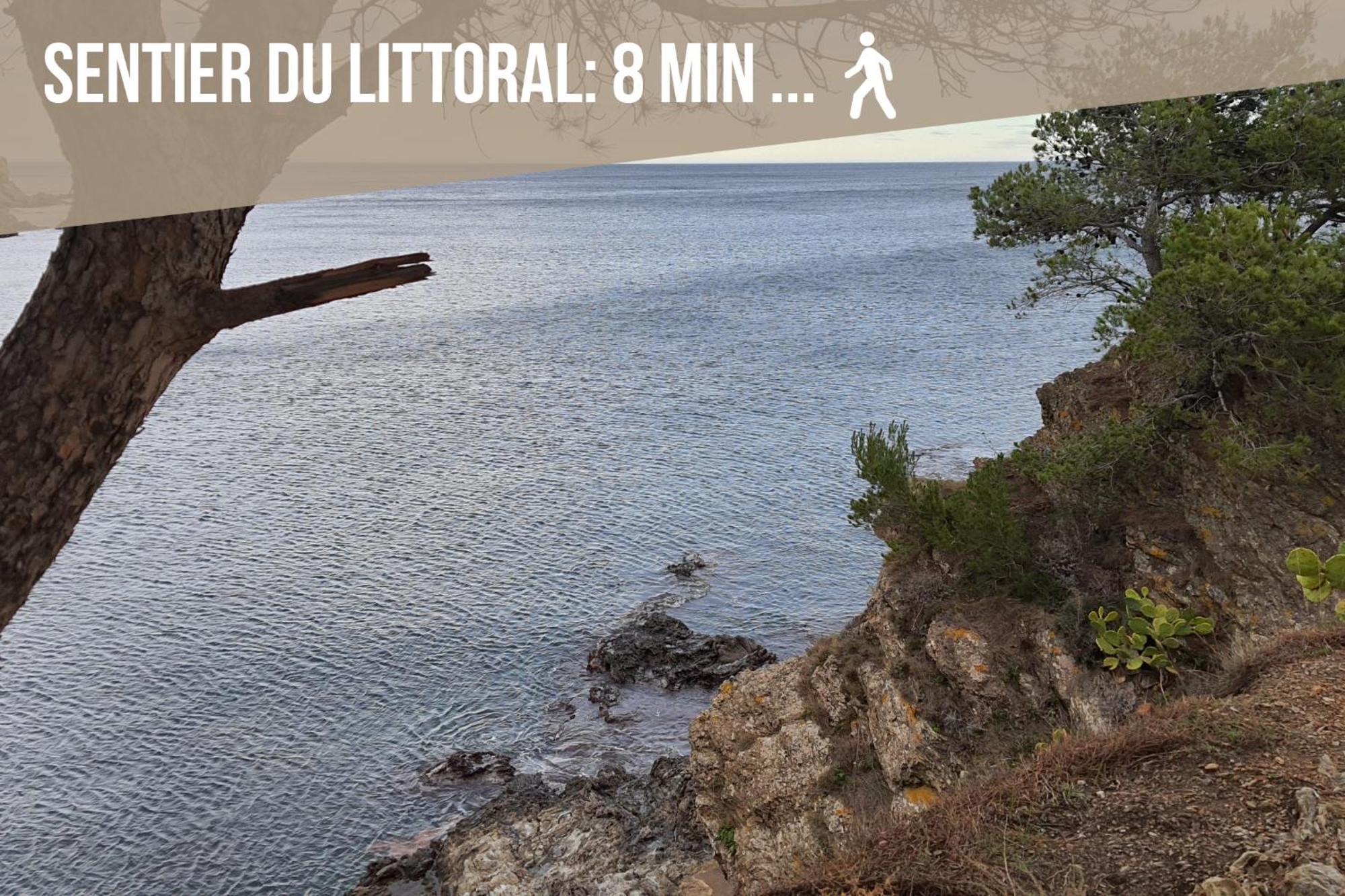 Le Belveze, Emplacement Central Et Calme Port Vendres Exterior foto